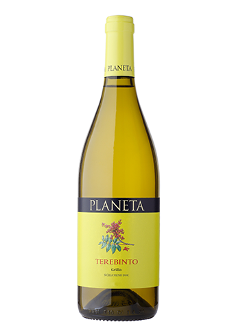 Planeta Terebinto