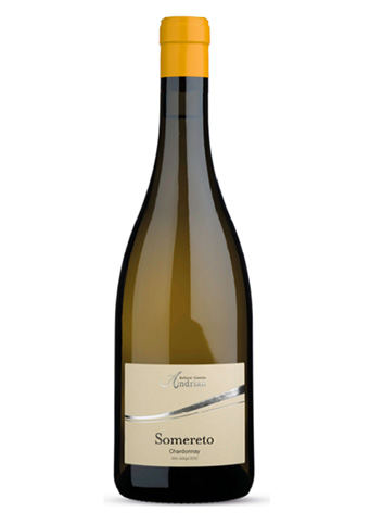 Cantina Andrian Somereto Chardonnay