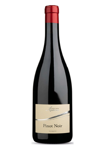 Cantina Andrian Piinot Noir