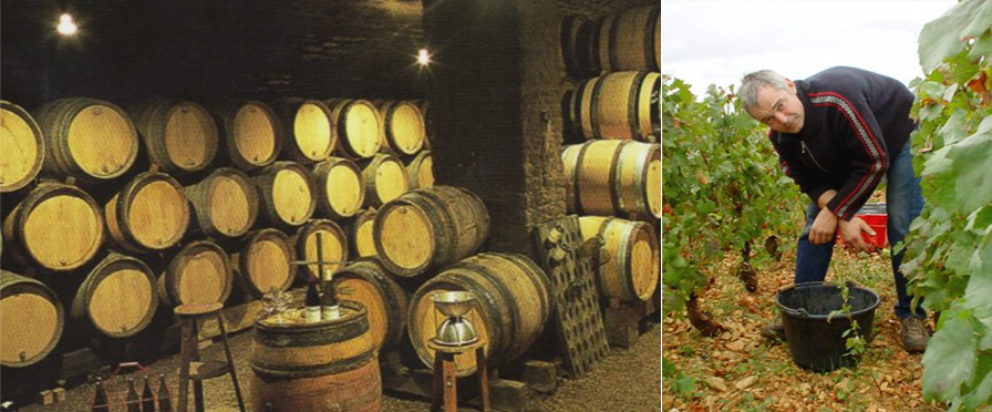 Domaine Francois Mikulski
