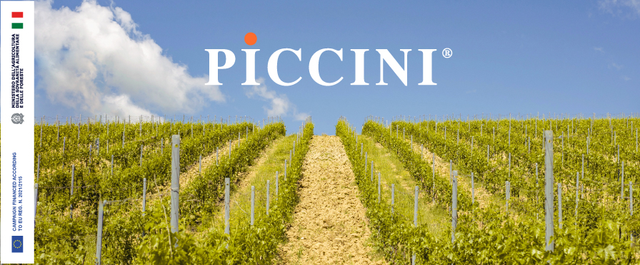 Piccini