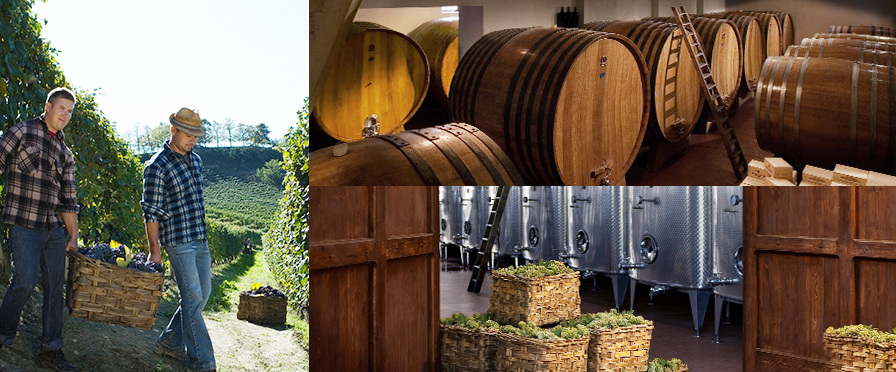 Bruno Giacosa