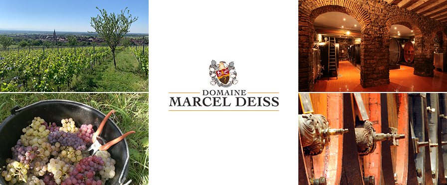 Marcel Deiss